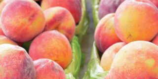 Fresh peaches on display at a farmers market, like the one near Apple Valley Villa.